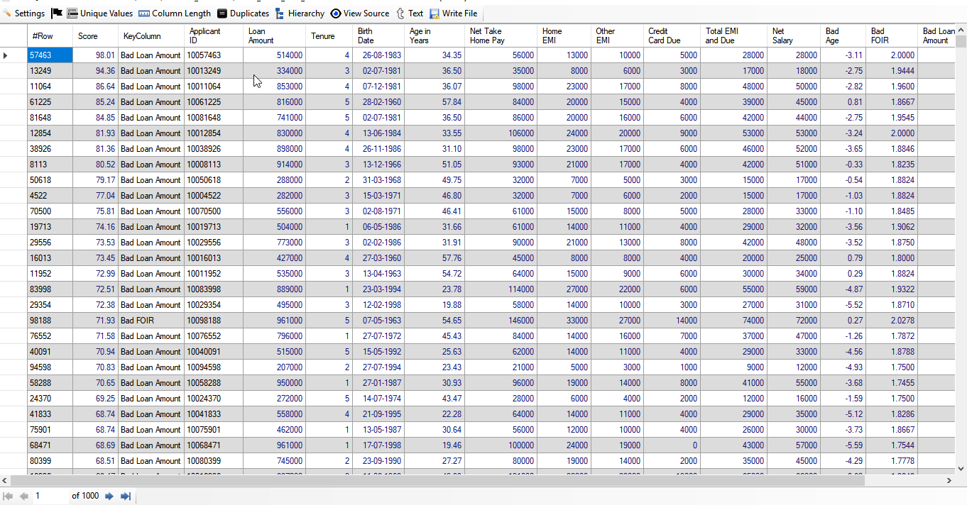 Risky Loan Applicants Result
